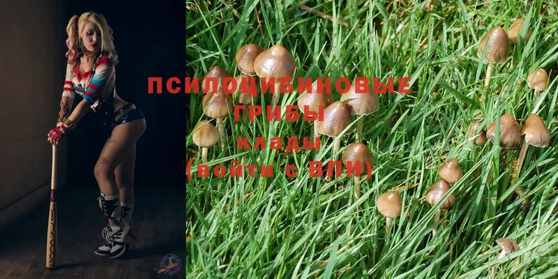 Галлюциногенные грибы Magic Shrooms  Белоусово 